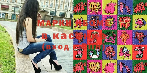 индика Балахна