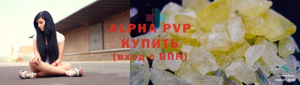 индика Балахна