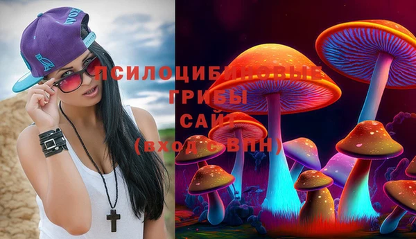 каннабис Аркадак