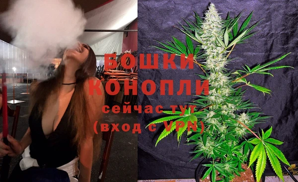 твердый Алзамай