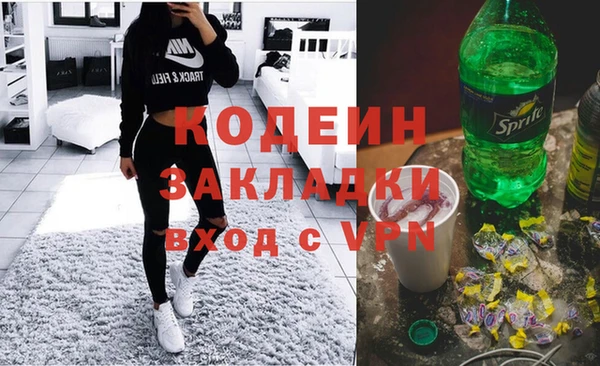 хмурый Арсеньев