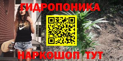дурь Кимры