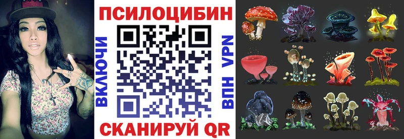 Псилоцибиновые грибы Psilocybe  Междуреченск 