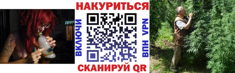 где найти наркотики  Междуреченск  Конопля OG Kush 